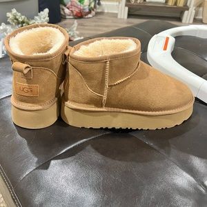 Brand new platform uggs